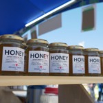 みなとまつりに出店しました